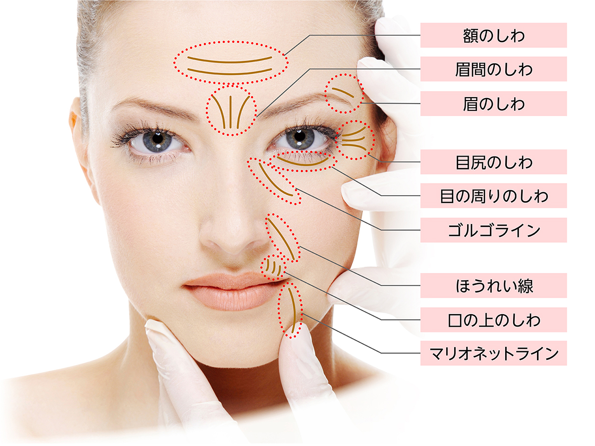 シワの原因と対策