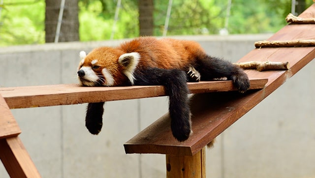 夏バテ対策できていますか？？