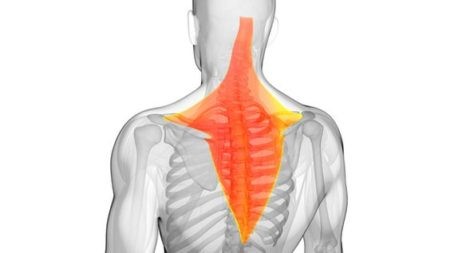 頭痛と肩こりの原因