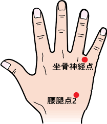 ツボ⑧：坐骨神経痛