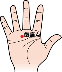 ツボ⑪：歯の痛み