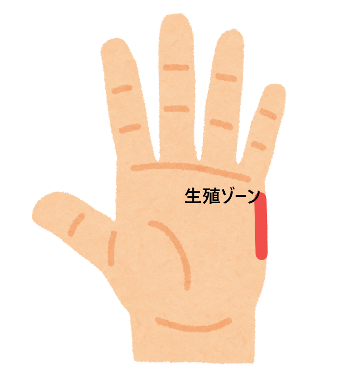 ツボ43：月経痛、月経不順