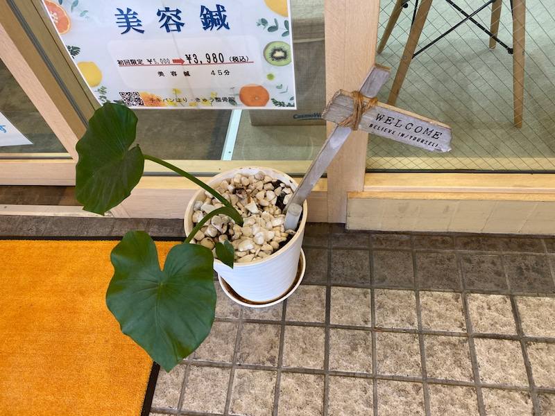 元気をもらっています！