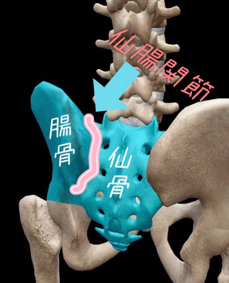 腰痛の原因は仙腸関節にあった！